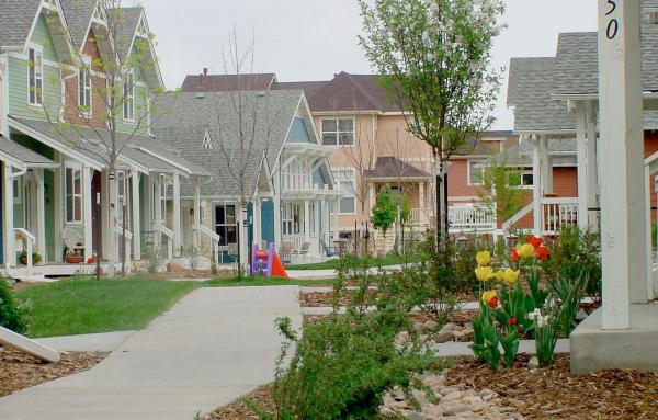 Article image for A diverse new neighborhood in the city